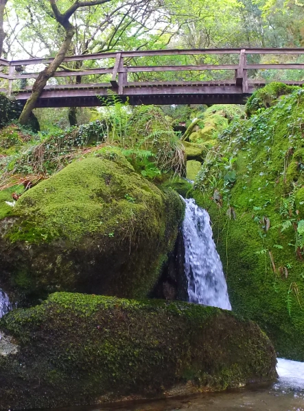 About Simply Happy - Image 1