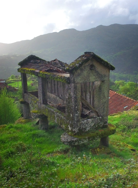 About Simply Happy - Image 2