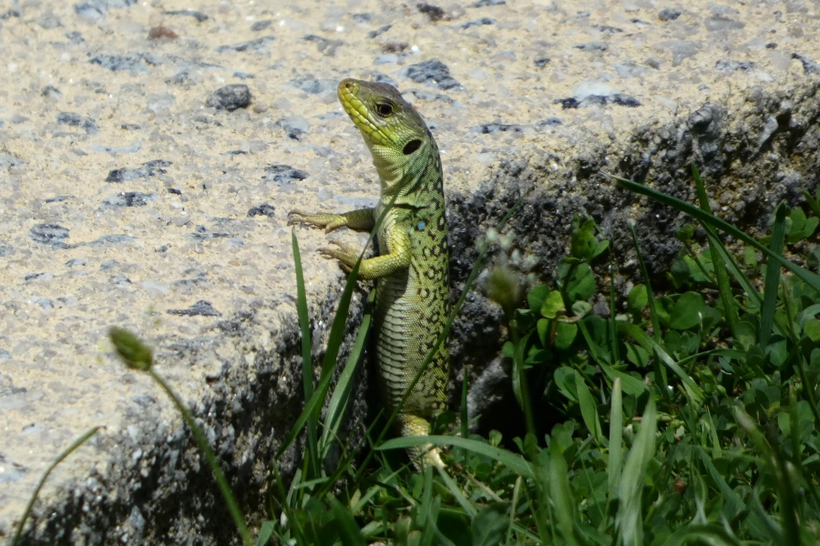 Visit Simply Happy - Carousel Three - Image 2