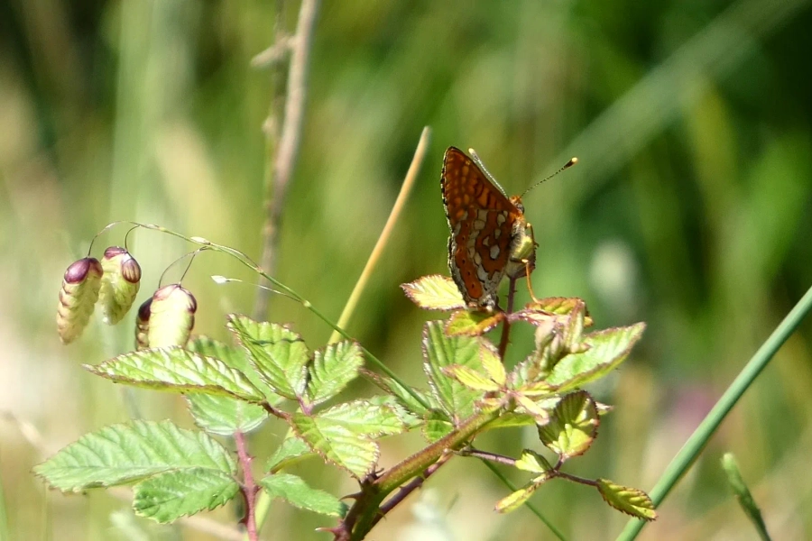 Visit Simply Happy - Carousel Three - Image 3
