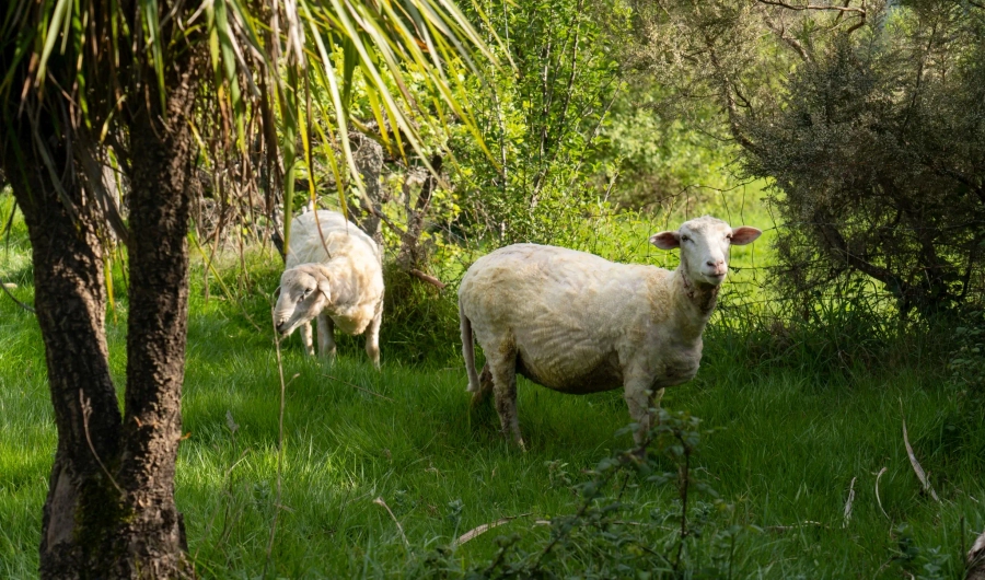 Visit Simply Happy - Carousel Two - Image 4