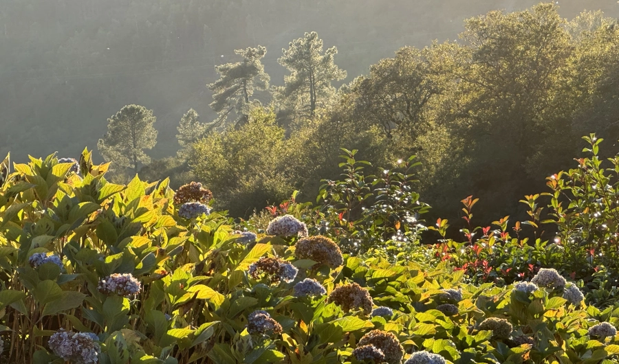 Visit Simply Happy - Carousel One - Image 5