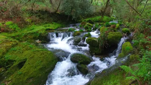 Nature Nature