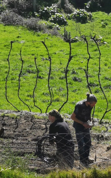 About Simply Happy - Image 4