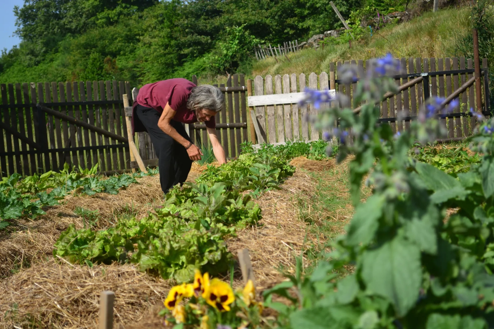 Cultivating the Land and Heart