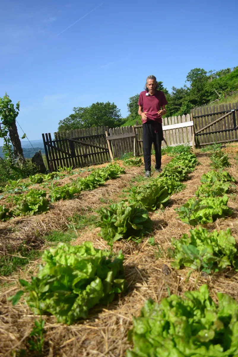 News Item Image 3 News Item Image 3