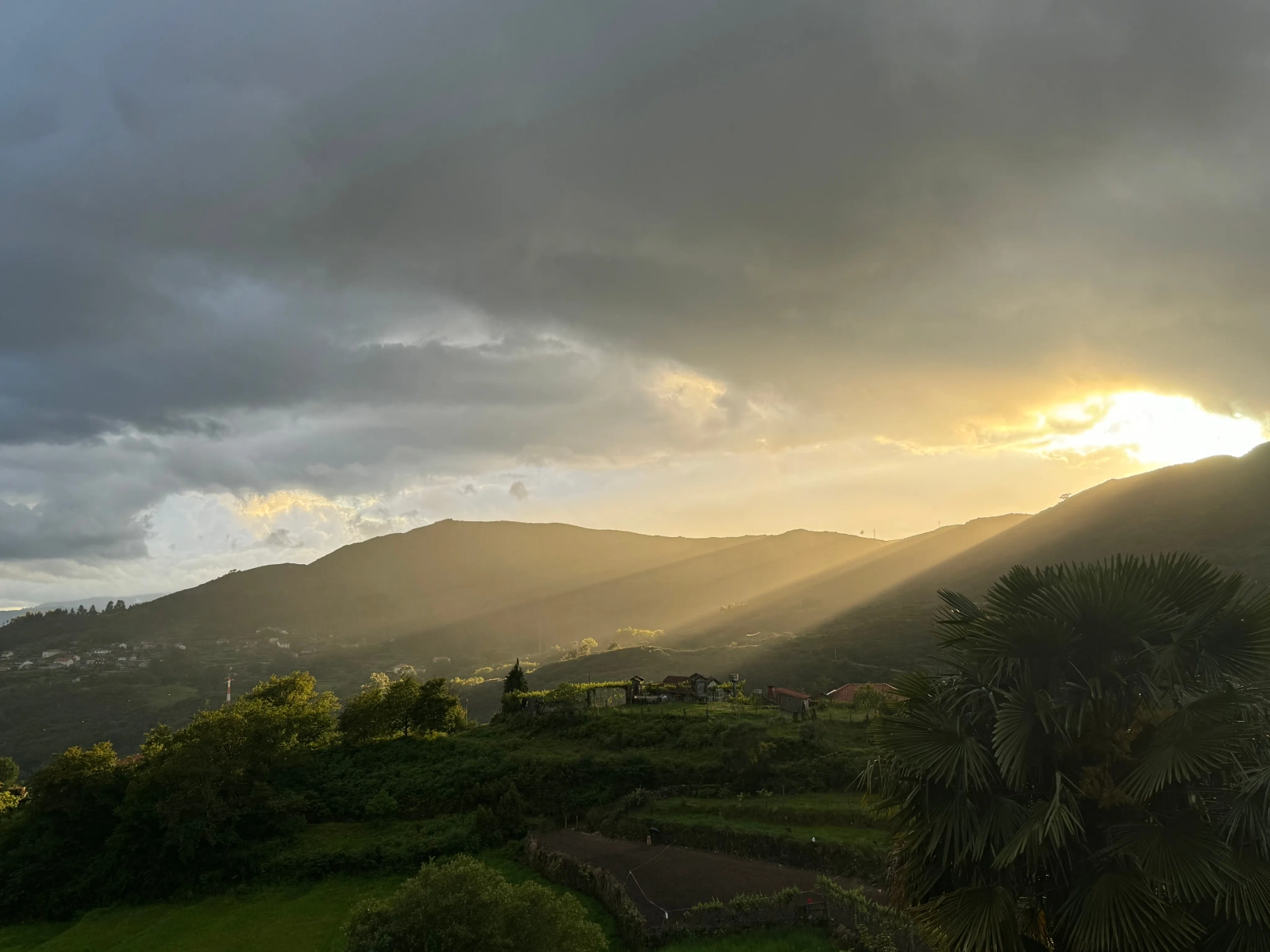 Simply Happy in Portugal